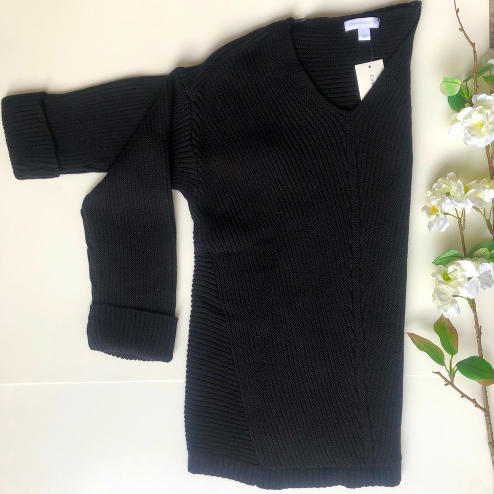 Charter Club V-Neck Core Pullover Black L